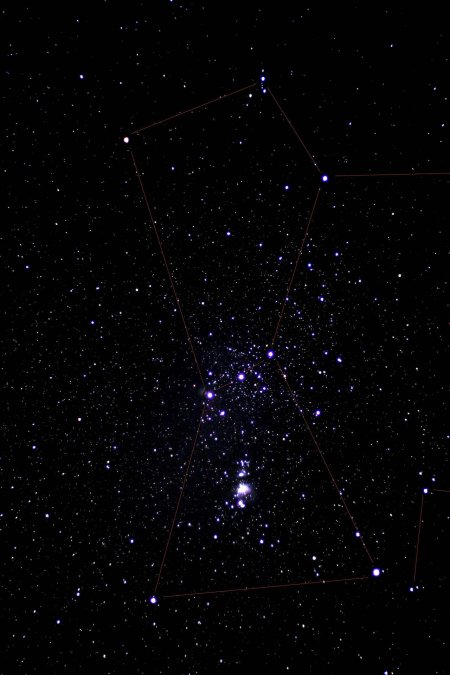 Беллатрикс в созвездии Ориона