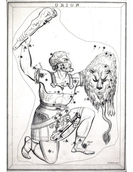 Созвездие Орион созвездия