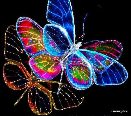 Неоновые бабочки