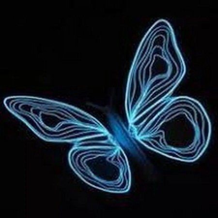 Неоновые бабочки
