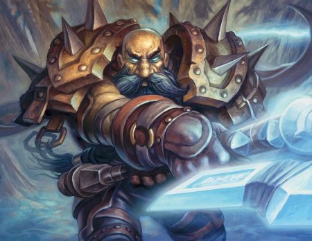 Дворф Паладин варкрафт