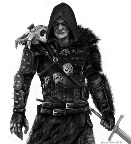 Ведьмак школы кота арт