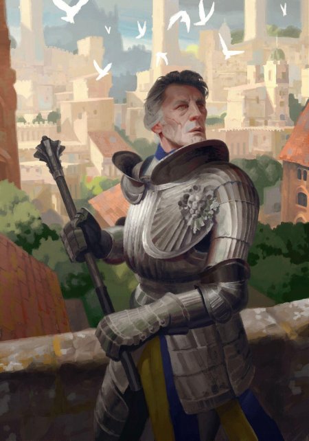 Ведьмак Темерия Рыцари арт