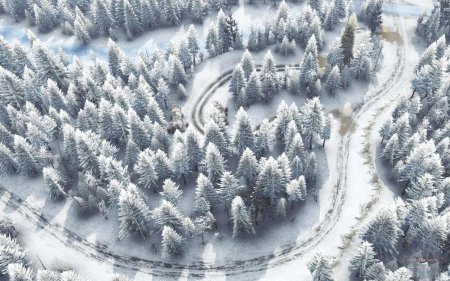 Зимняя карта