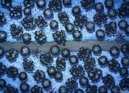 Snow Forest Battle Map