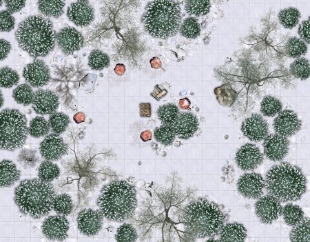 ДНД карта снежный лес