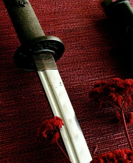 Япония Эстетика катана