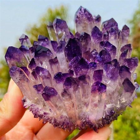 Натуральный пурпур