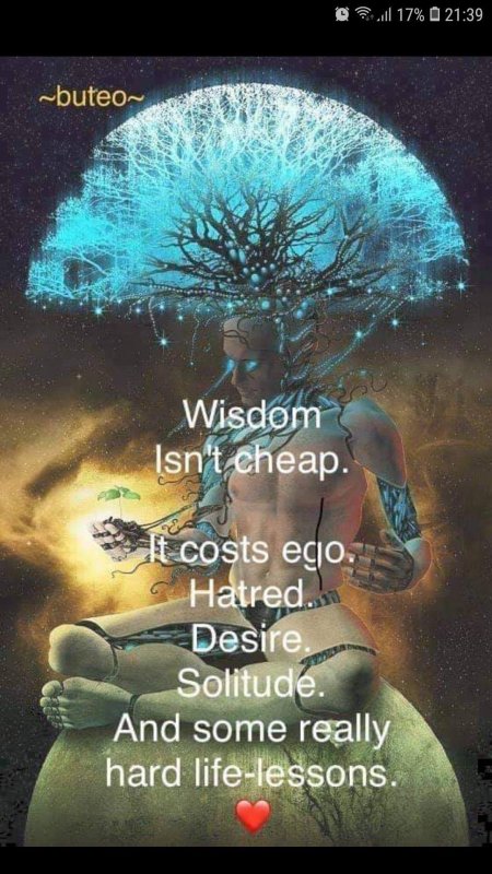 Человеческий разум