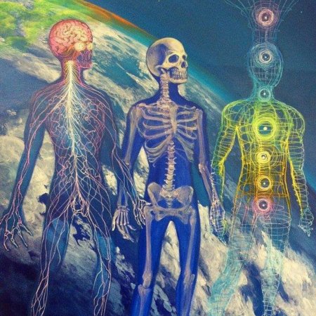 Алекс грей картины энергетический кокон