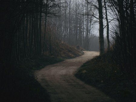 Темная дорога