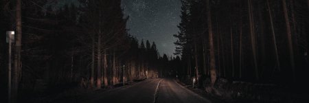 Ночная трасса в лесу