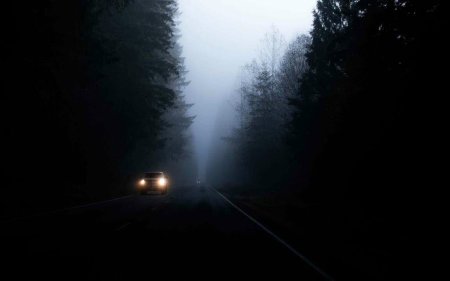 Туманная дорога ночью