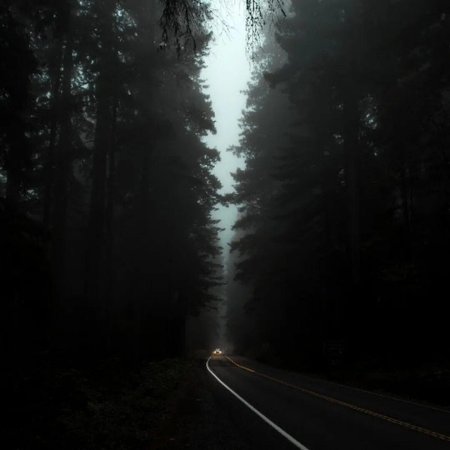 Темная дорога