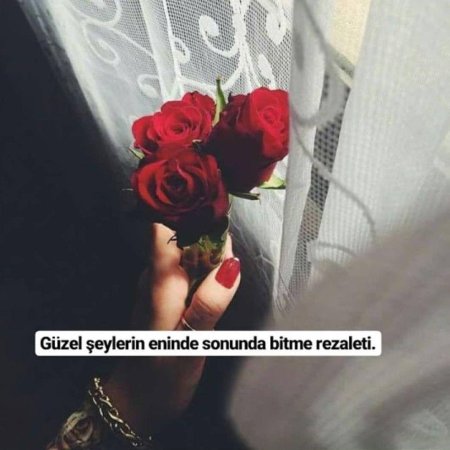 Селфи с розами