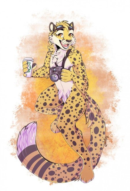 Фурри гепард