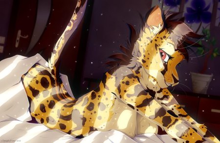 Фурри Михари Cheetah