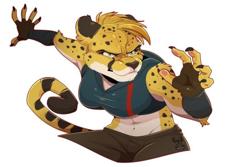 Фурри гепард