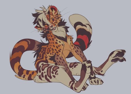 Лайри гепард