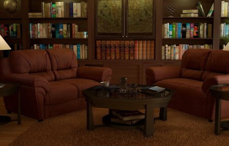 Интерьер с книжными полками