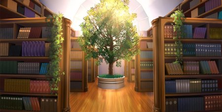 Комната с книжными полками