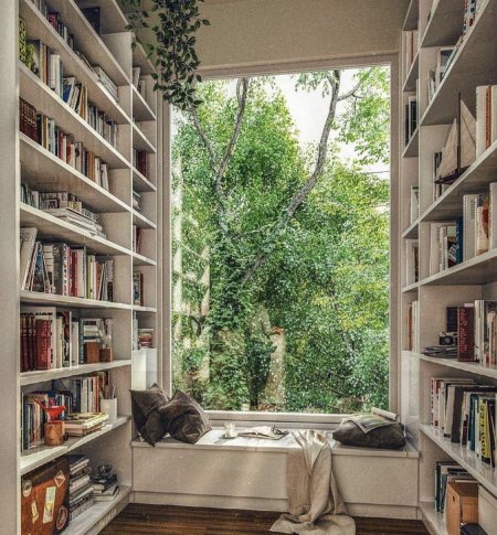 Комната с книжными полками