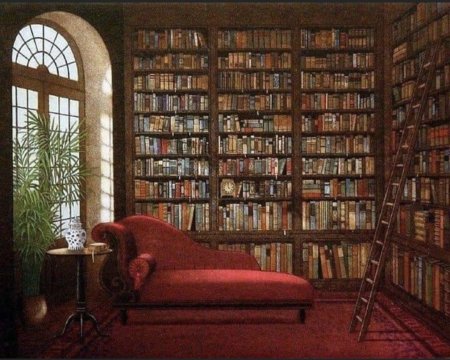 Комната с книжными полками