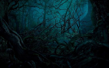 Темный лес / the Woods