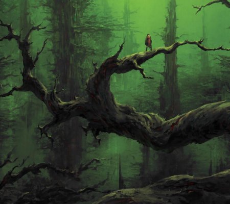 Сказочные леса