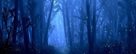 «Ночь в лесу»