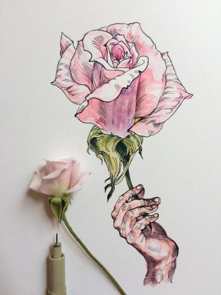 Скетч цветы