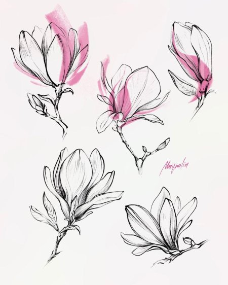 Магнолия тату эскизы