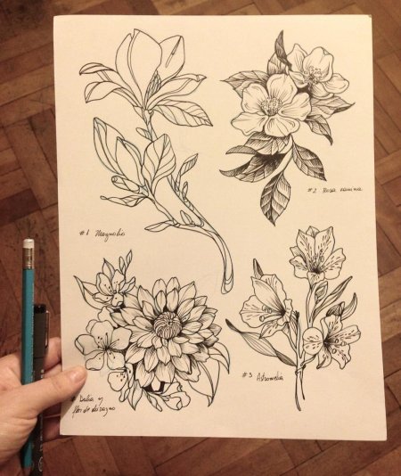 Скетч цветы