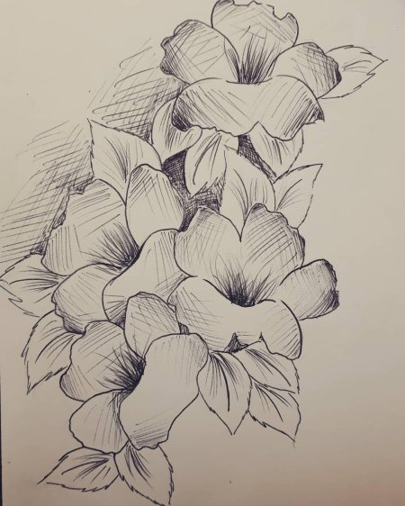 Цветы эскиз