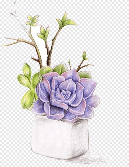 Акварель суккулент и цветы