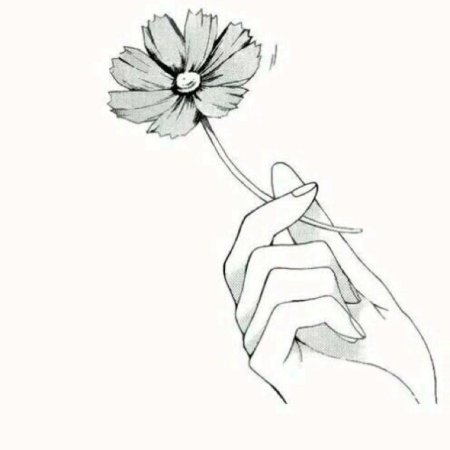 Цветы для срисовки