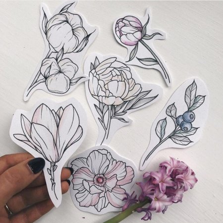 Магнолии скейч