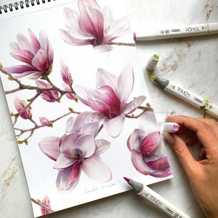 Скетчинг акварель Магнолия
