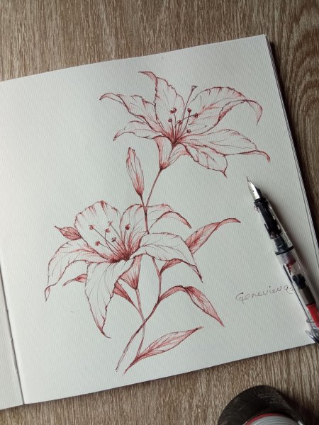 Перьевая ручка рисунок