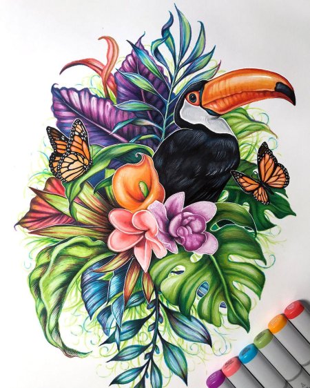 Скетч маркерами Тукан