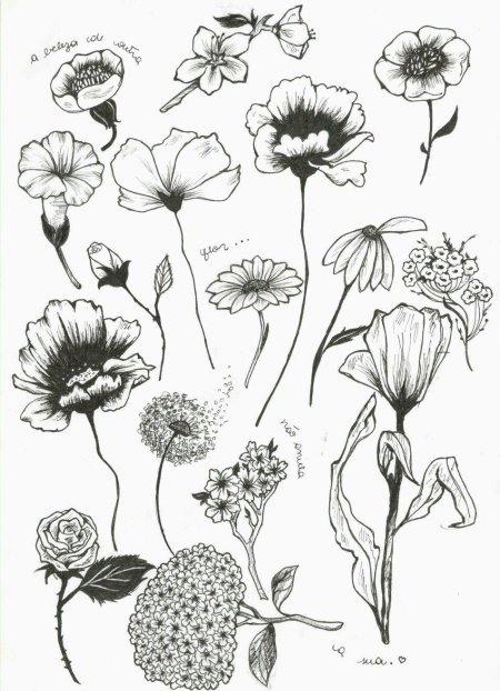 Цветы рисунок