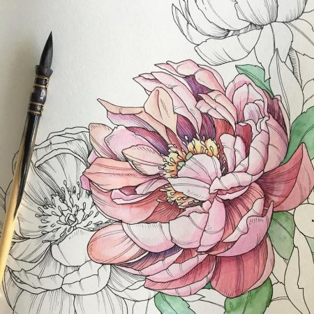 Пион Зентангл