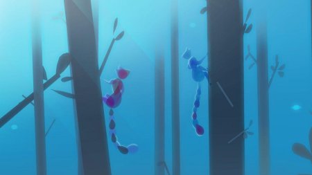 Сигматокс Сонариа