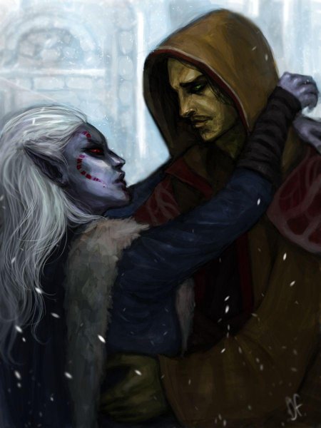 Tes данмерка арт