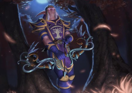 Ночные эльфы варкрафт