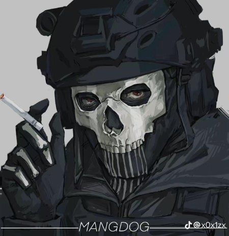 Ghost из Call of Duty