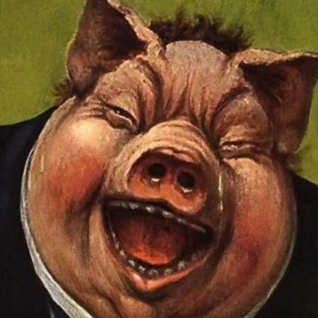 Свинья карикатура