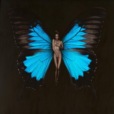 Бабочка фэнтези