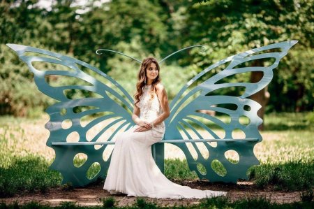 Крылья бабочки