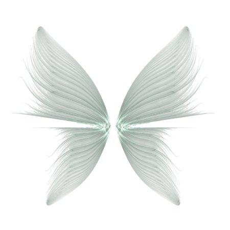 Крылья феи